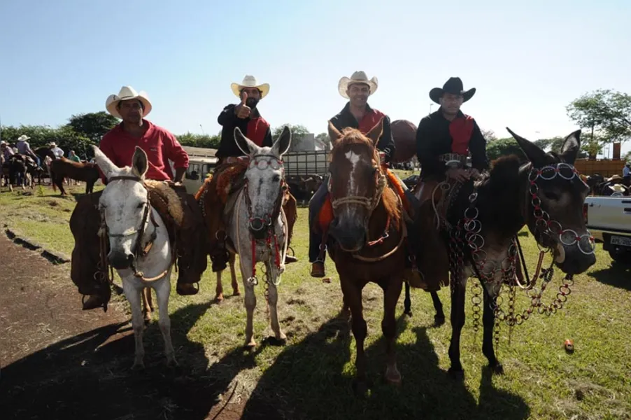 Cavaleiros e amazonas tomam as ruas de Londrina