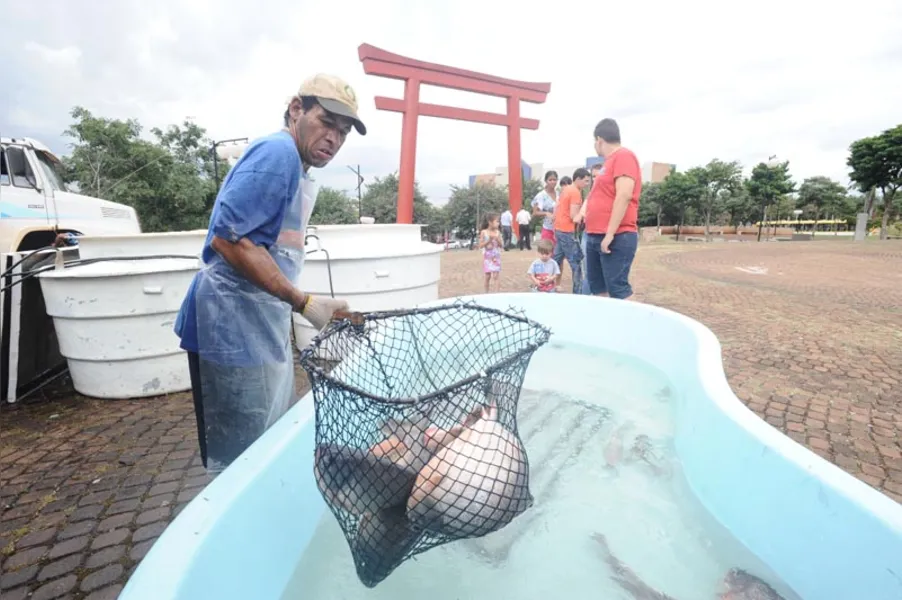 Aqui tem peixe para todo mundo