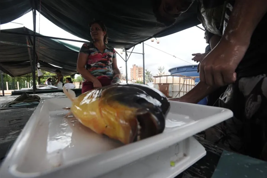Aqui tem peixe para todo mundo