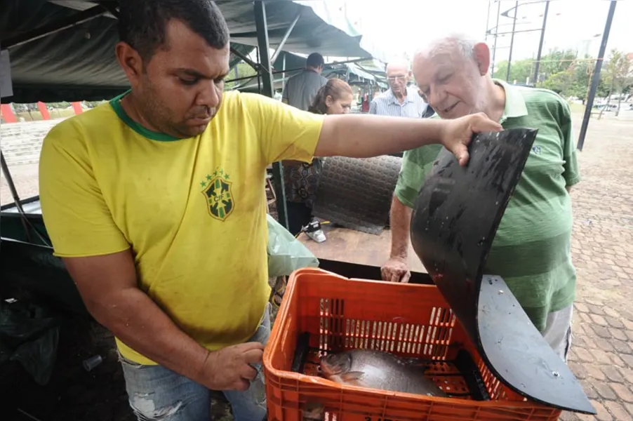 Aqui tem peixe para todo mundo