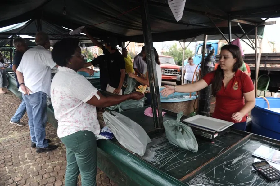 Aqui tem peixe para todo mundo