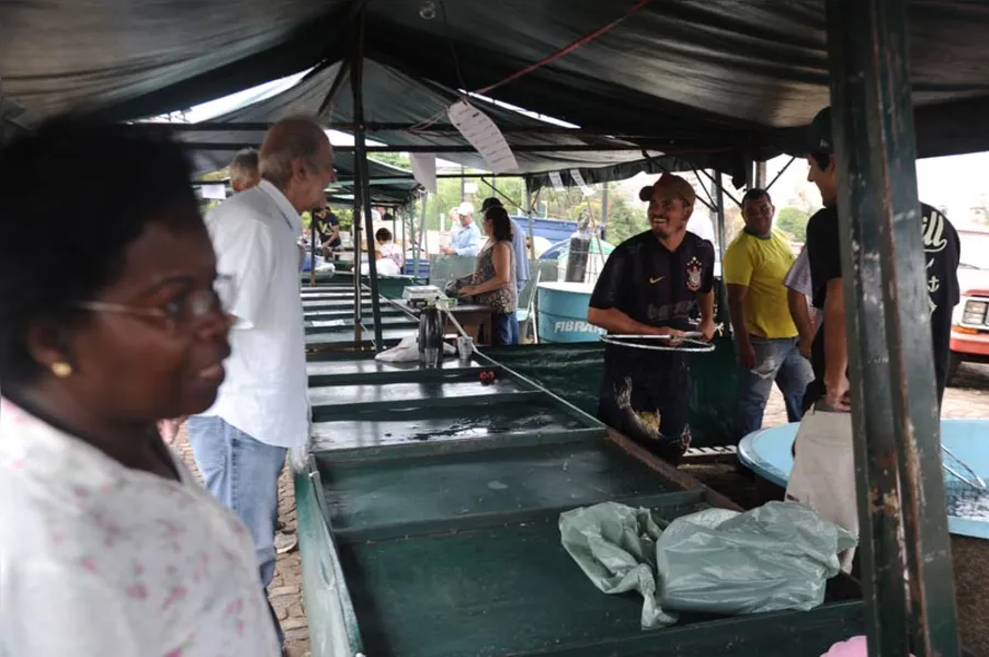 Aqui tem peixe para todo mundo