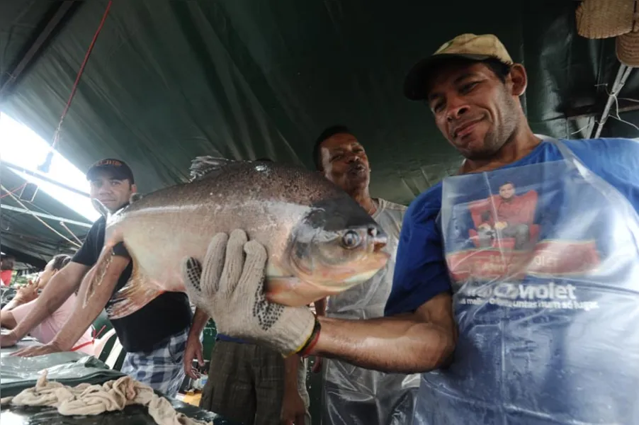 Aqui tem peixe para todo mundo