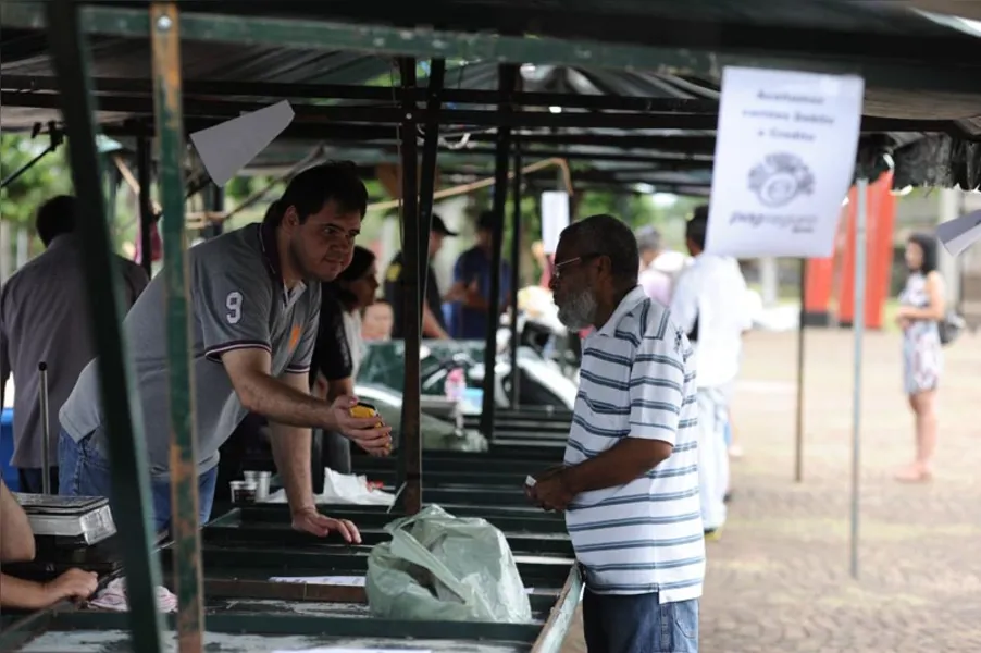 Aqui tem peixe para todo mundo