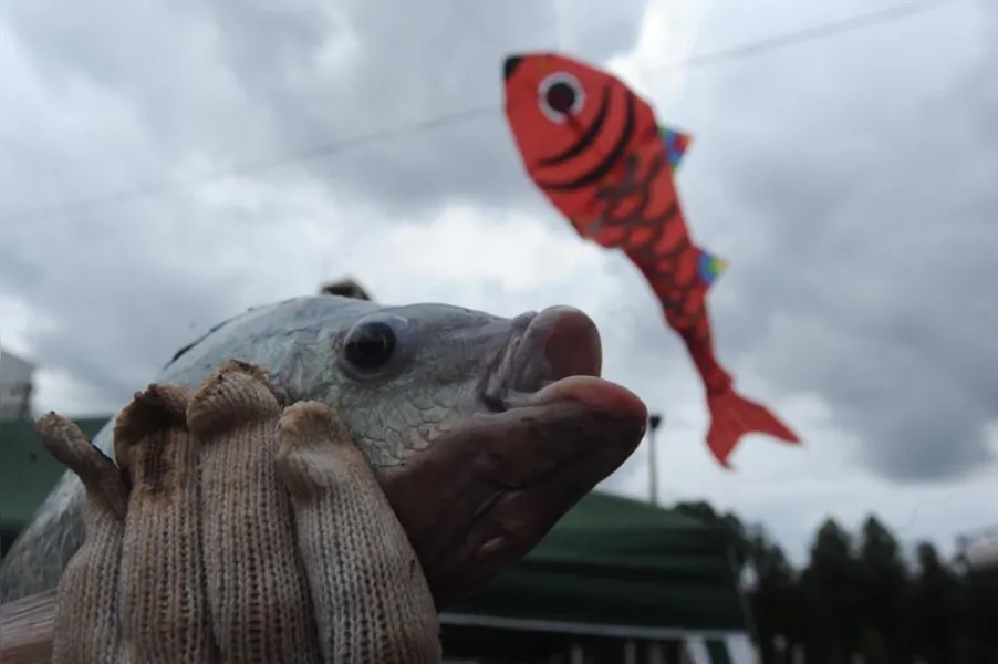 Aqui tem peixe para todo mundo