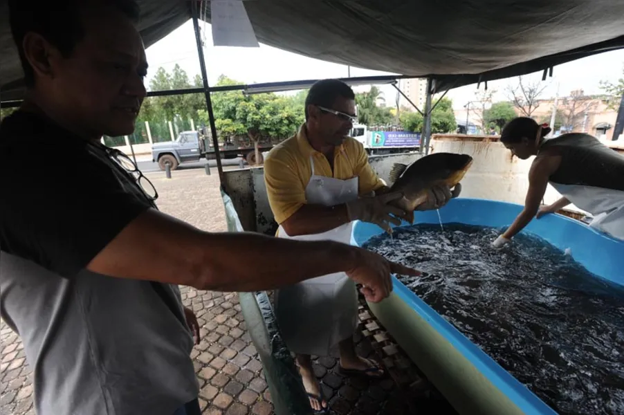 Aqui tem peixe para todo mundo