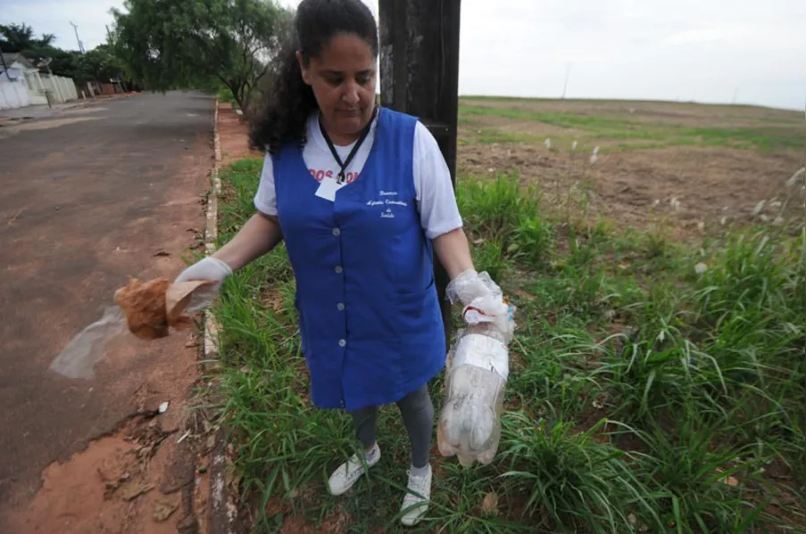 CONTRASTE - Perto da epidemia, longe da dengue