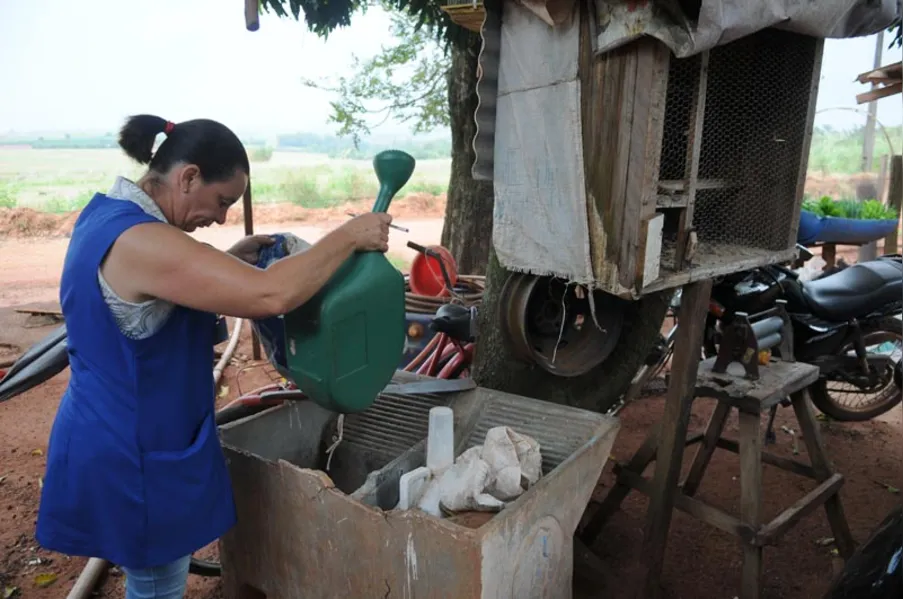 CONTRASTE - Perto da epidemia, longe da dengue