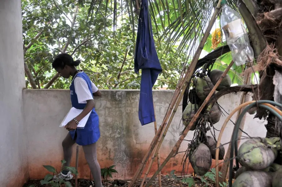 CONTRASTE - Perto da epidemia, longe da dengue