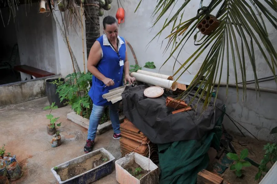 CONTRASTE - Perto da epidemia, longe da dengue