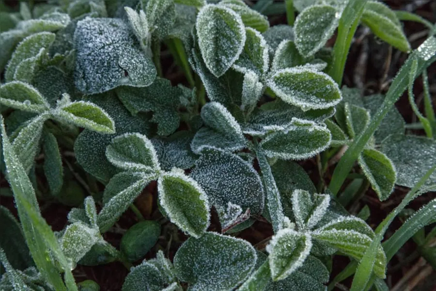 Temperaturas vão cair no fim de semana