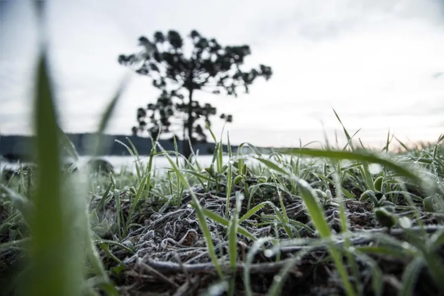 Temperaturas vão cair no fim de semana