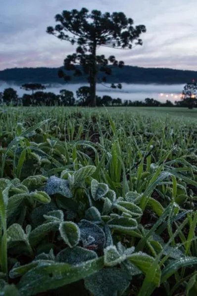 Temperaturas vão cair no fim de semana