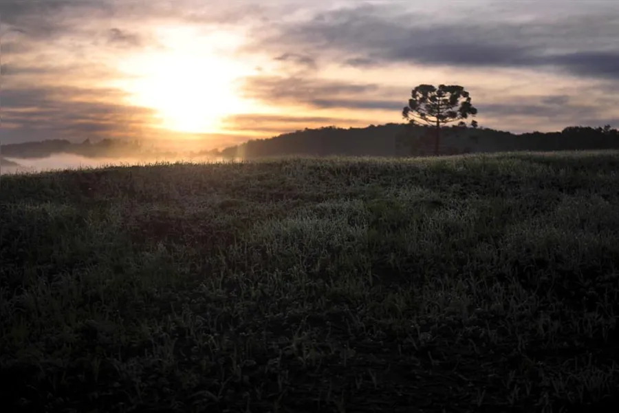 Temperaturas vão cair no fim de semana