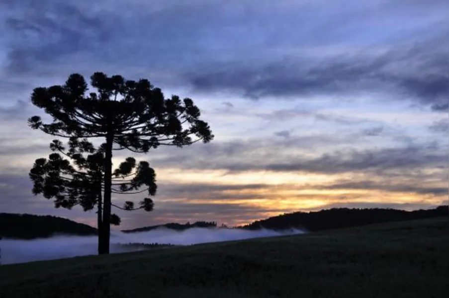 Temperaturas vão cair no fim de semana