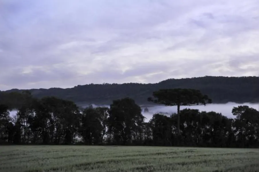 Temperaturas vão cair no fim de semana