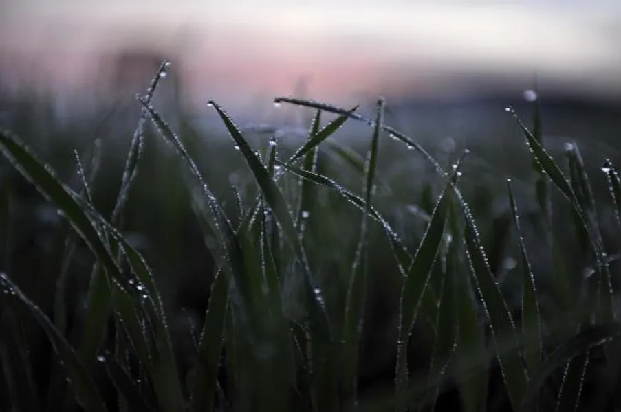 Temperaturas vão cair no fim de semana