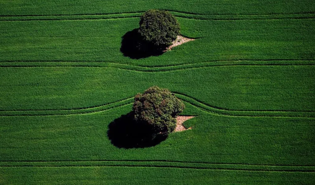 Imagens da Agricultura Paranaense 2016