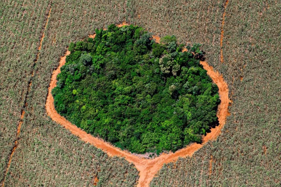 Imagens da Agricultura Paranaense 2016