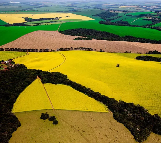 Imagens da Agricultura Paranaense 2016
