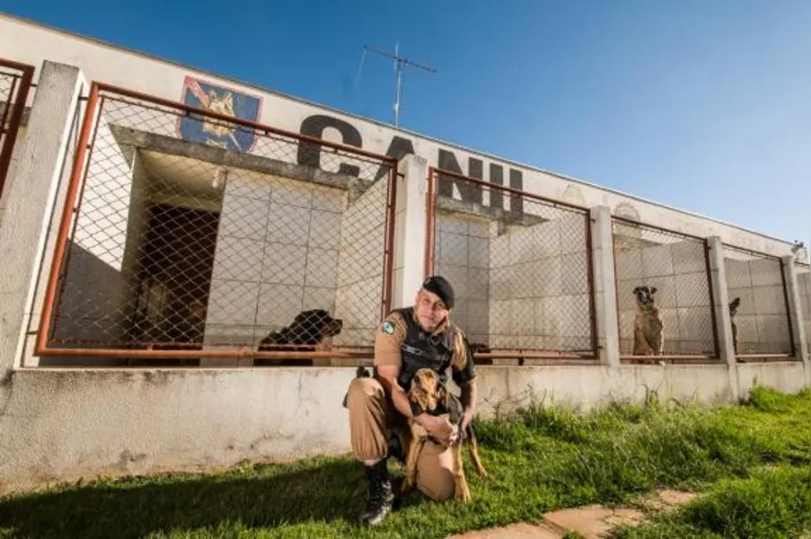 Choque Canil em Londrina tem equipe reduzida