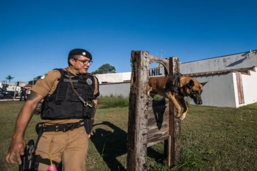 Choque Canil em Londrina tem equipe reduzida