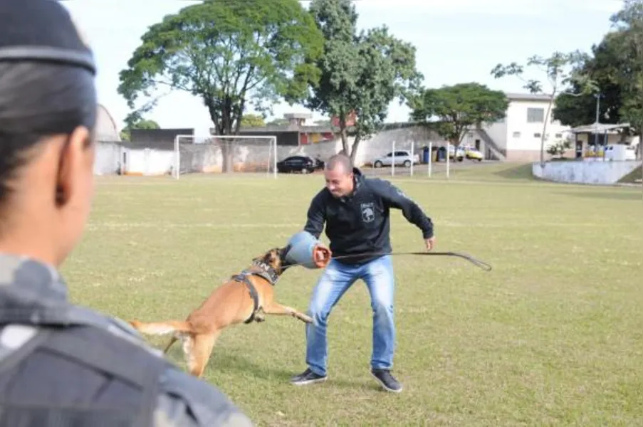 Choque Canil em Londrina tem equipe reduzida