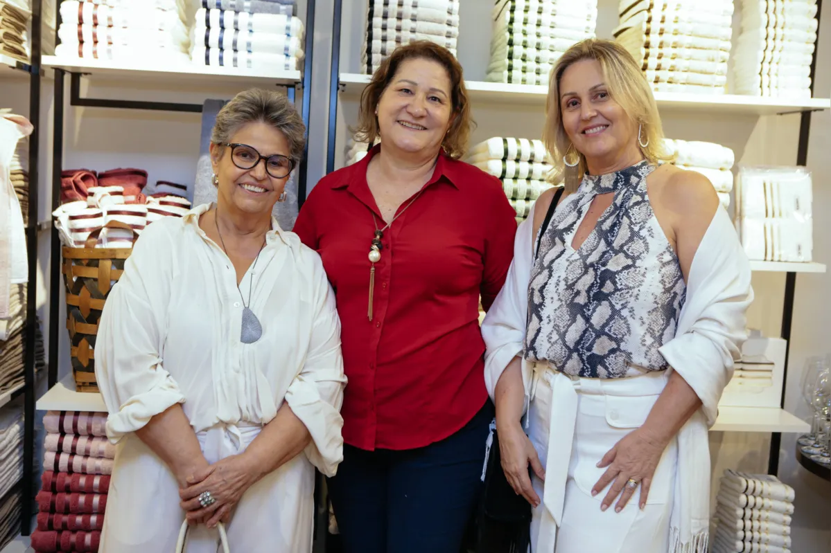 Neide Terenzi, Arlete Ferreira Dias e Sueli Terenzi Rizzi