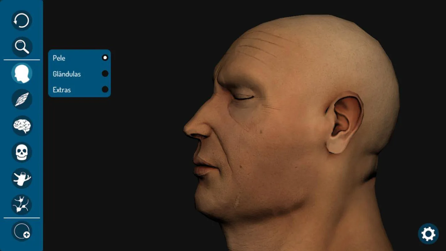 Face 3D Plus, um atlas craniano interativo,  facilita o estudo da complexidade da anatomia de cabeça e pescoço
