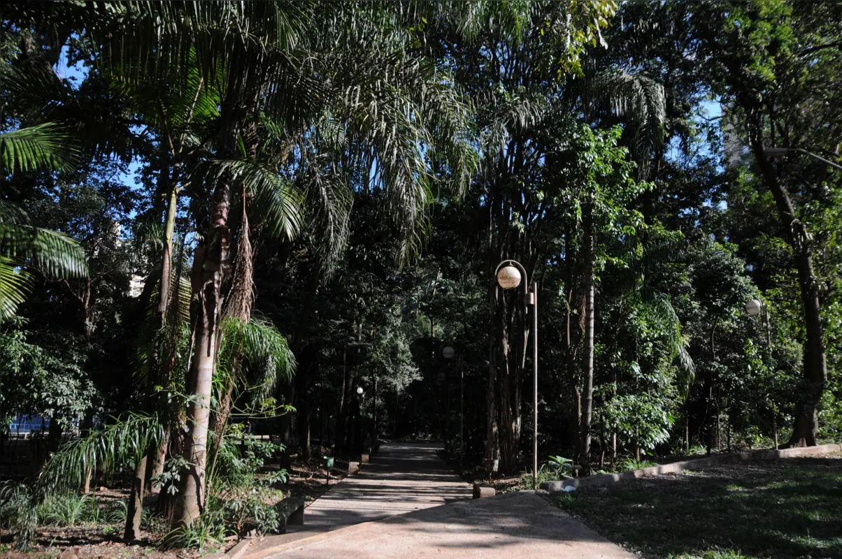 Imagem ilustrativa da imagem Câmara começa discutir projeto sobre Bosque de Londrina