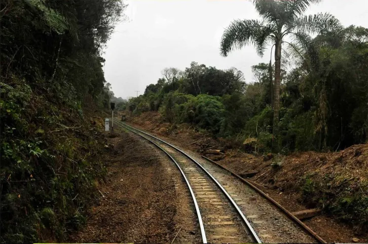 Imagem ilustrativa da imagem Os Caminhos de Ferro