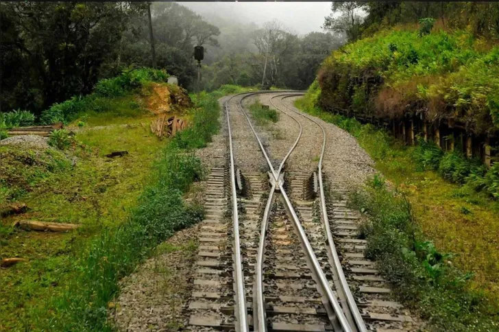 Imagem ilustrativa da imagem Os Caminhos de Ferro