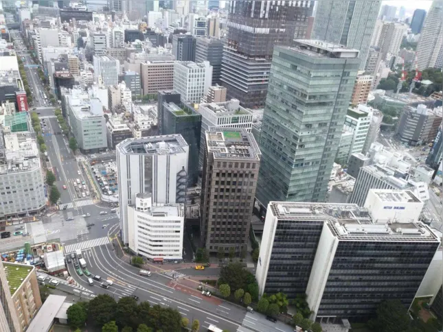 Imagem ilustrativa da imagem Uma ponte entre o Brasil e Japão