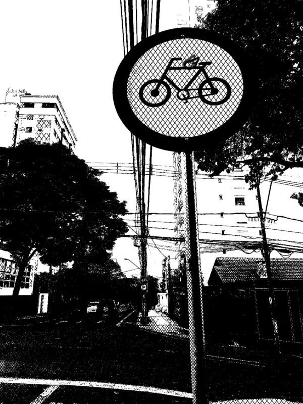 Imagem ilustrativa da imagem A bicicleta e a cidade