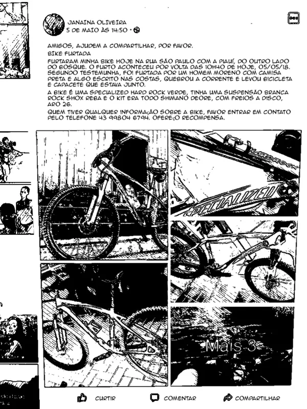 Imagem ilustrativa da imagem A bicicleta e a cidade