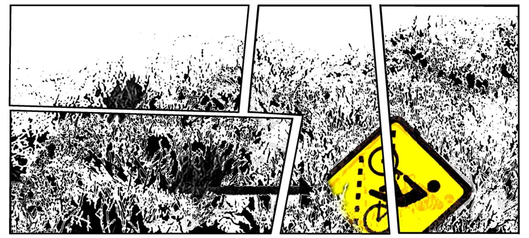 Imagem ilustrativa da imagem A bicicleta e a cidade