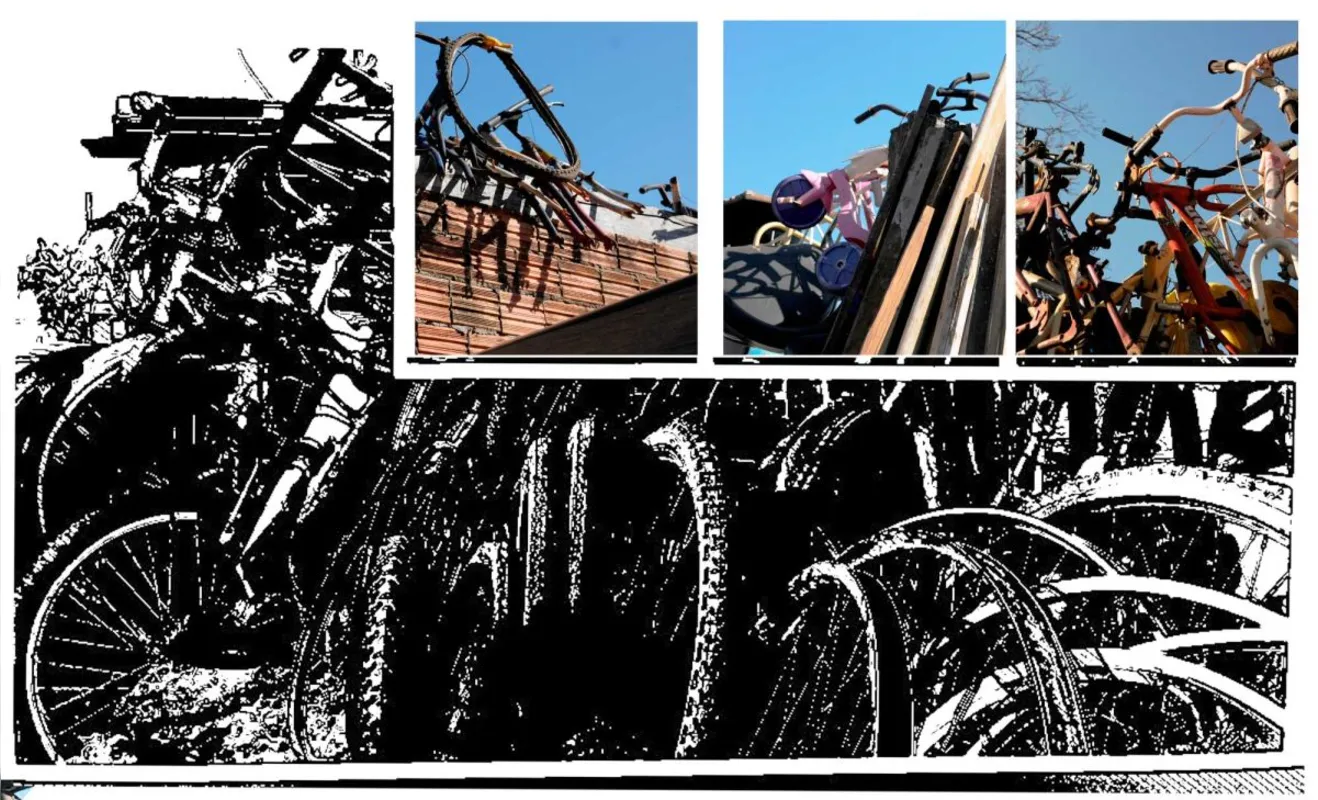 Imagem ilustrativa da imagem A bicicleta e a cidade