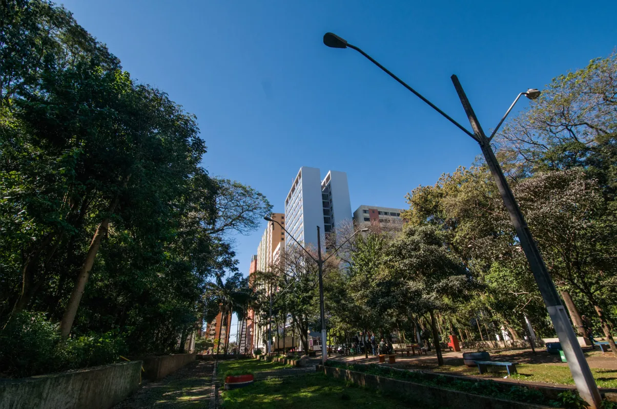 Imagem ilustrativa da imagem Bosque Central de Londrina sob o olhar da população
