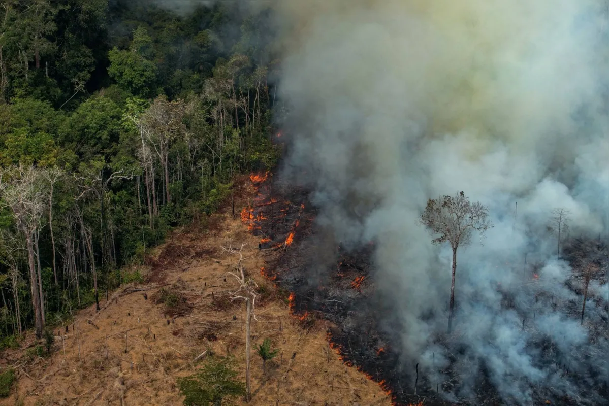 Imagem ilustrativa da imagem Brasil combate os incêndios na Amazônia após novos apelos