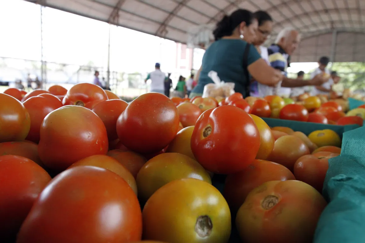 Mercado é utilizado desde 2015 como uma central de distribuição de alimentos