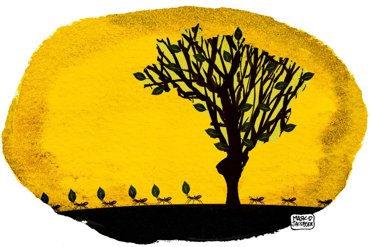 Imagem ilustrativa da imagem Charge 21/08/2019