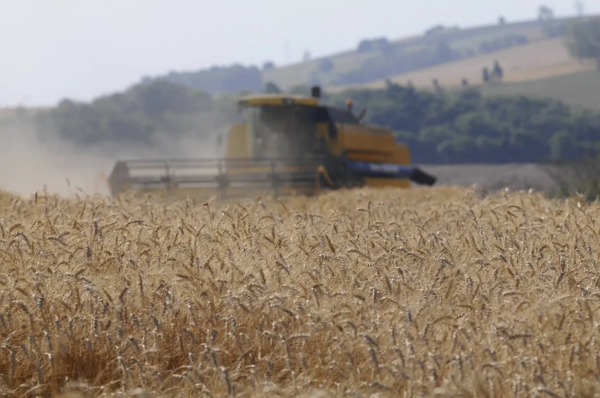 Adesão ao seguro rural é uma forma eficiente de garantia aos riscos do clima e da natureza aos quais está exposta a produção agrícola 