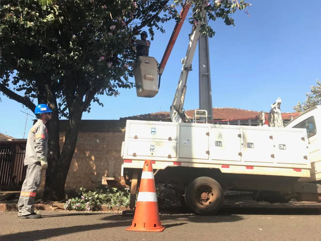 Em Londrina, cerca de 50 colaboradores estão envolvidos no mutirão que vai passar por, pelo menos, 150 pontos