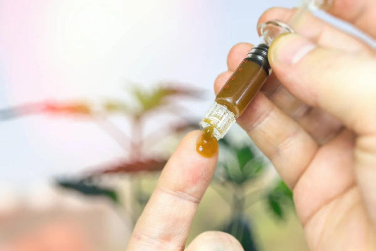Imagem ilustrativa da imagem Doses de THC são 50 vezes mais baixas do que um cigarro de maconha