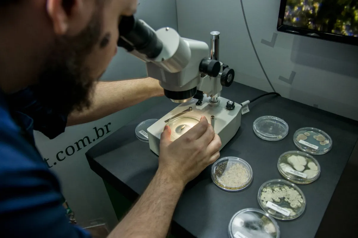 A Koppert é forte nos produtos para a cana-de-açúcar, mas quer espaço nos cereais como soja, milho e trigo e também nos hortifruti