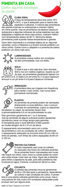 Imagem ilustrativa da imagem Empresas  que atuam com pimenta surfam na onda da ‘gourmetização’
