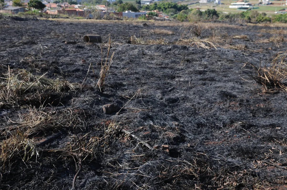 Bombeiros de Londrina registraram 526 atendimentos a casos de incêndio ambiental, de janeiro a julho deste ano