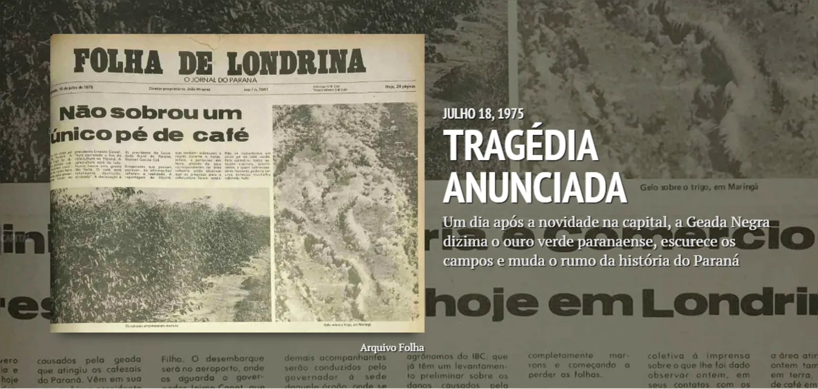 Imagem ilustrativa da imagem Folha de Londrina