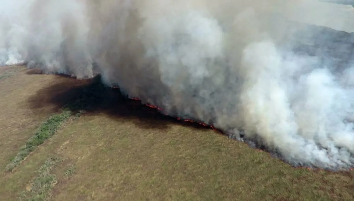 Área atingida pelas chamas é de 32,5 mil hectares