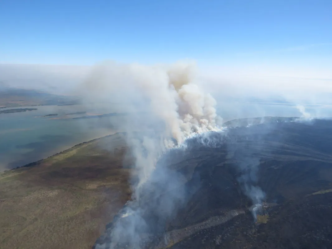 Imagem ilustrativa da imagem Incêndio de grandes proporções que atinge o Parque Nacional de Ilha Grande já dura oito dias